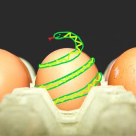 Scrambled eggs according to Jordan Peterson